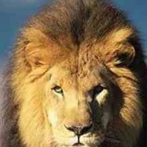 Meet your Posher, Leon